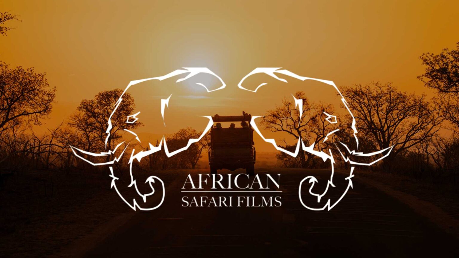 Capturing Africa’s Best Shots with African Safari Films - Netbraai